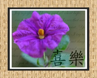 Chinese Character collection