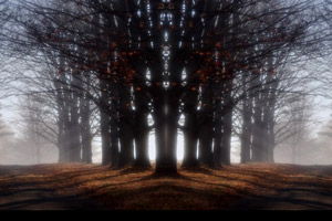 Digital Art Collections