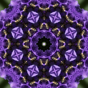 kaleidoscope Collecction